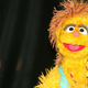 Kami, the South African muppet infected with HIV